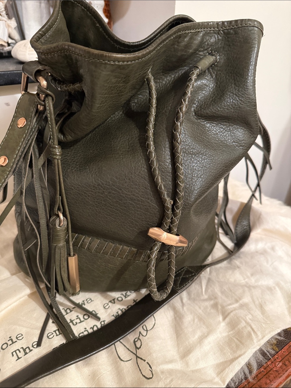 Joie Stunning Leather Crossbody Hobo Bag in Olive Green
